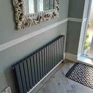 A room with a radiator and a mirror on the wall.
