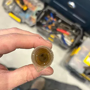 A person holding a small object in their hand.